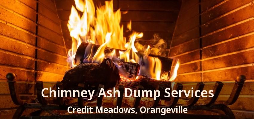 Chimney Ash Dump Services Credit Meadows, Orangeville - ON