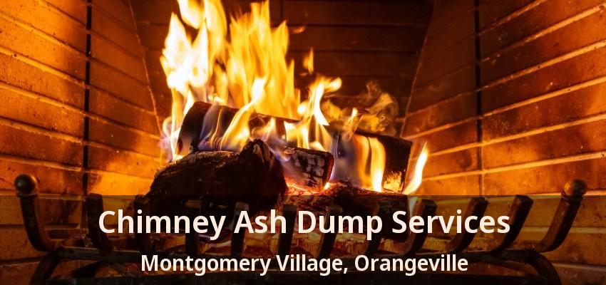 Chimney Ash Dump Services Montgomery Village, Orangeville - ON