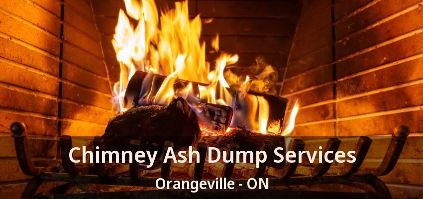 Chimney Ash Dump Services Orangeville - ON