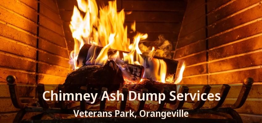 Chimney Ash Dump Services Veterans Park, Orangeville - ON