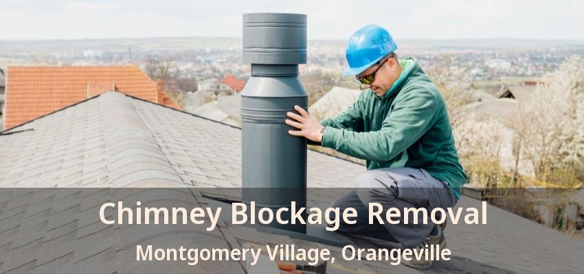 Chimney Blockage Removal Montgomery Village, Orangeville - ON