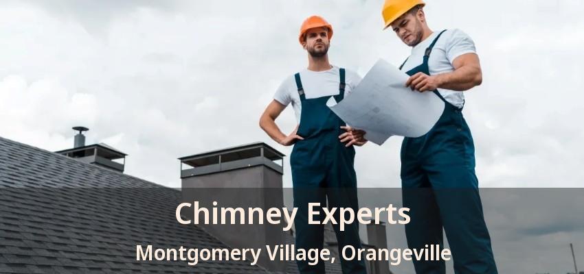 Chimney Experts Montgomery Village, Orangeville - ON