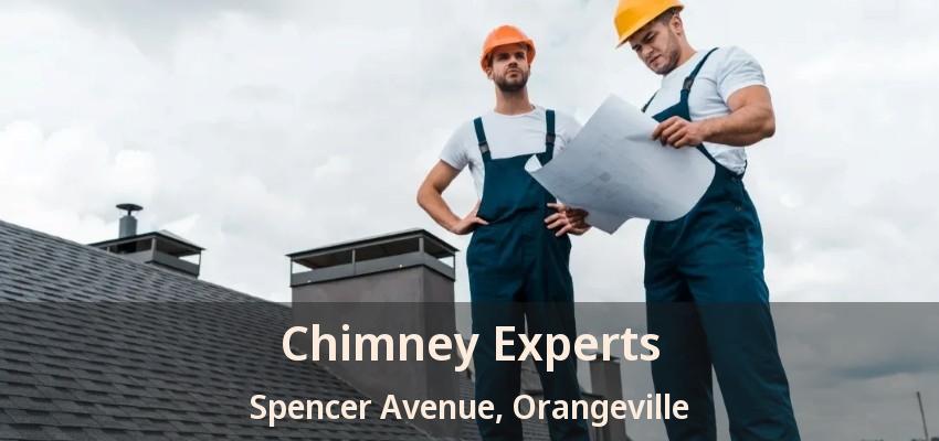 Chimney Experts Spencer Avenue, Orangeville - ON