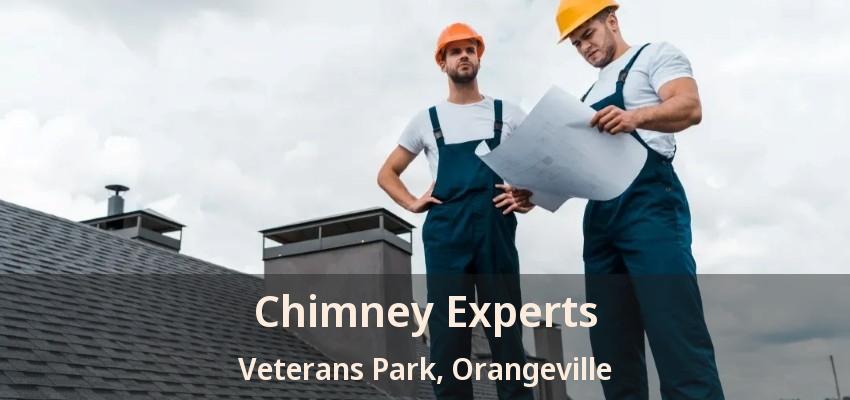 Chimney Experts Veterans Park, Orangeville - ON