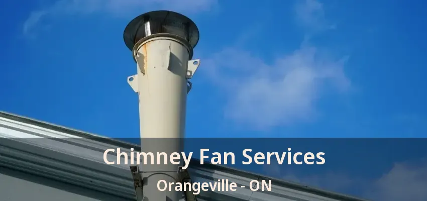 Chimney Fan Services Orangeville - ON