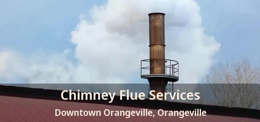 Chimney Flue Services Downtown Orangeville, Orangeville - ON