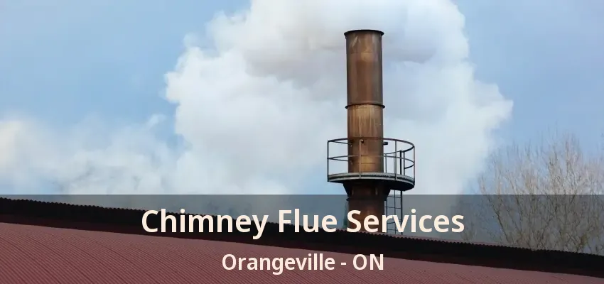 Chimney Flue Services Orangeville - ON