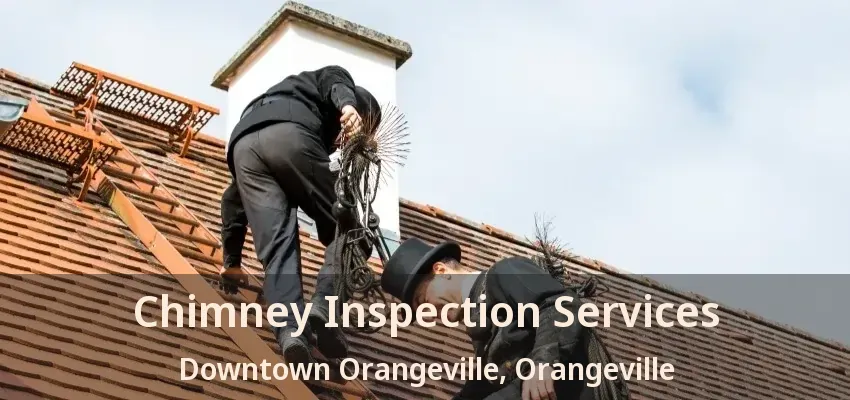 Chimney Inspection Services Downtown Orangeville, Orangeville - ON