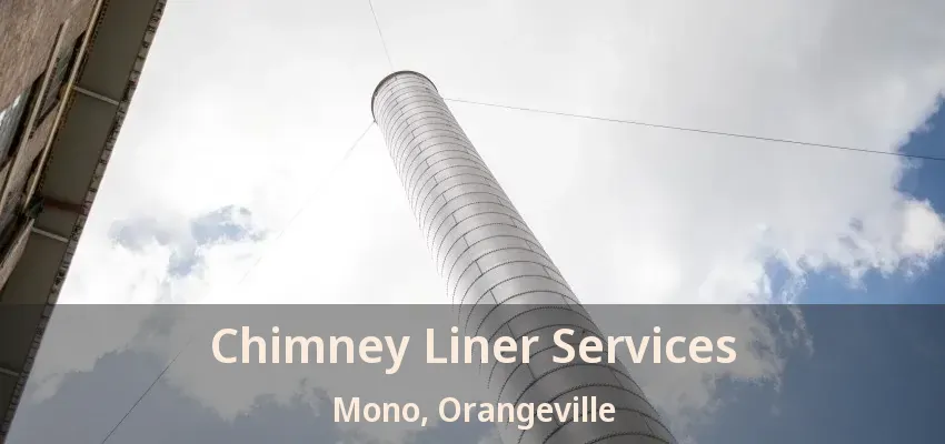Chimney Liner Services Mono, Orangeville - ON