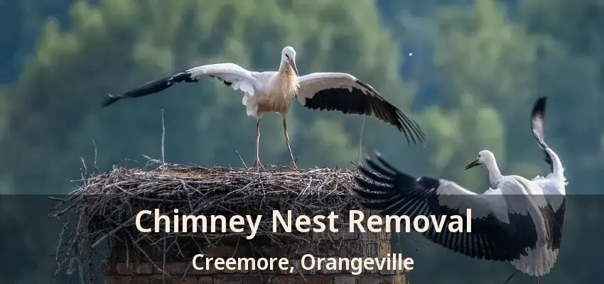 Chimney Nest Removal Creemore, Orangeville - ON
