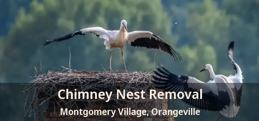 Chimney Nest Removal Montgomery Village, Orangeville - ON