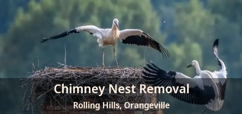 Chimney Nest Removal Rolling Hills, Orangeville - ON
