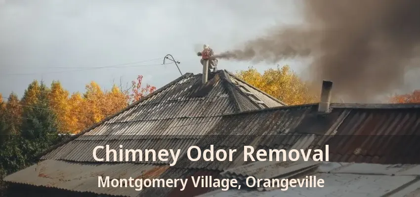 Chimney Odor Removal Montgomery Village, Orangeville - ON