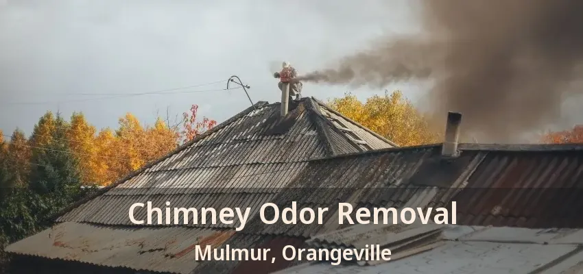 Chimney Odor Removal Mulmur, Orangeville - ON