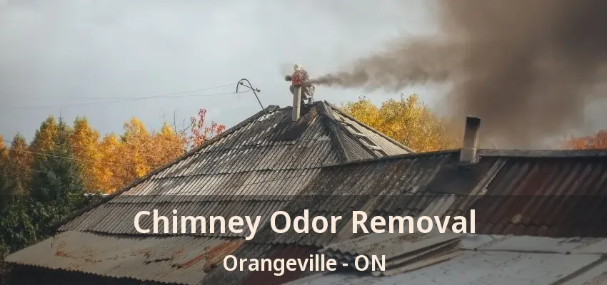 Chimney Odor Removal Orangeville - ON