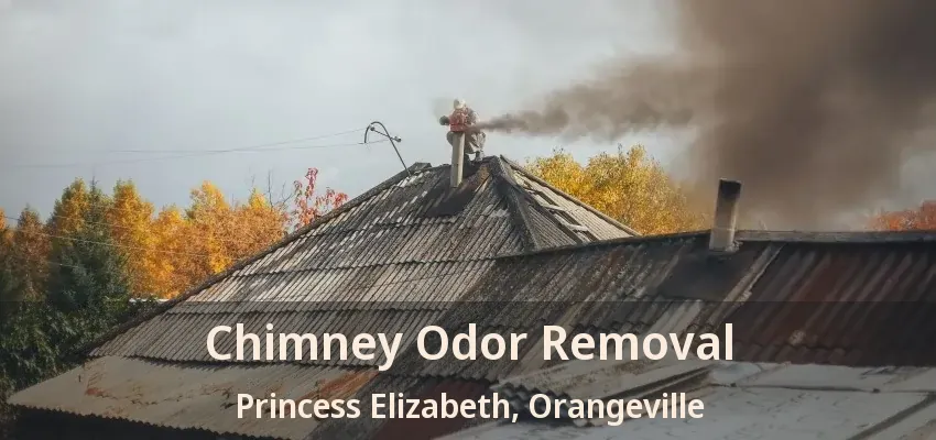 Chimney Odor Removal Princess Elizabeth, Orangeville - ON