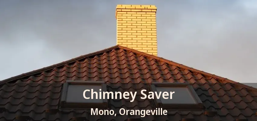 Chimney Saver Mono, Orangeville - ON