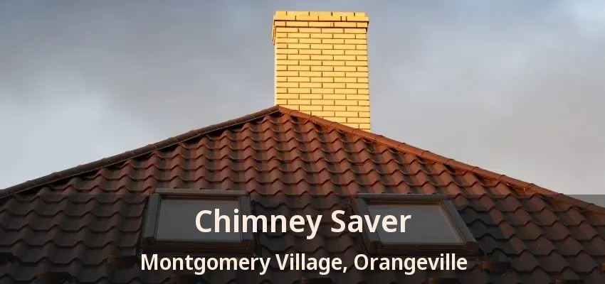 Chimney Saver Montgomery Village, Orangeville - ON