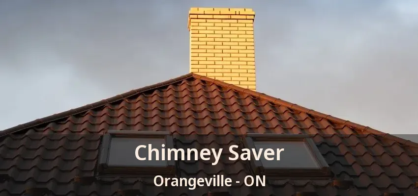 Chimney Saver Orangeville - ON