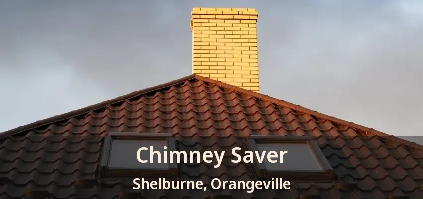 Chimney Saver Shelburne, Orangeville - ON