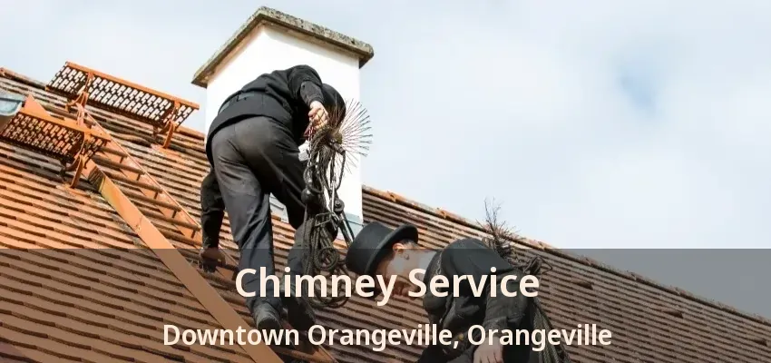 Chimney Service Downtown Orangeville, Orangeville - ON