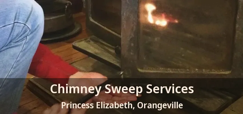 Chimney Sweep Services Princess Elizabeth, Orangeville - ON