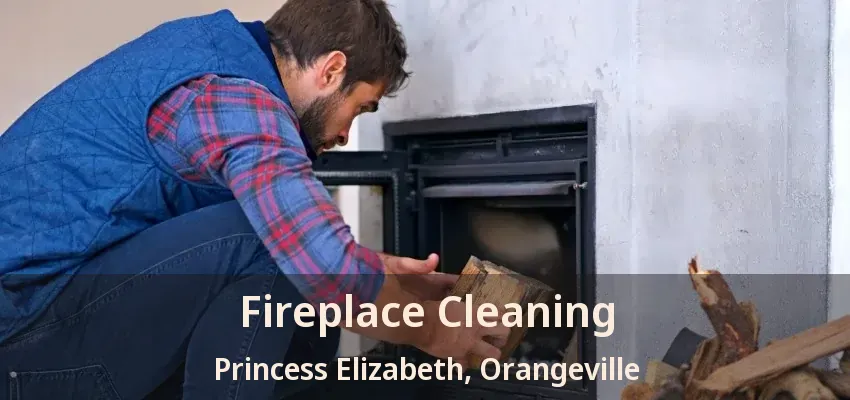 Fireplace Cleaning Princess Elizabeth, Orangeville - ON