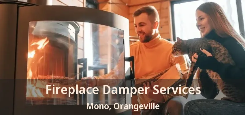 Fireplace Damper Services Mono, Orangeville - ON