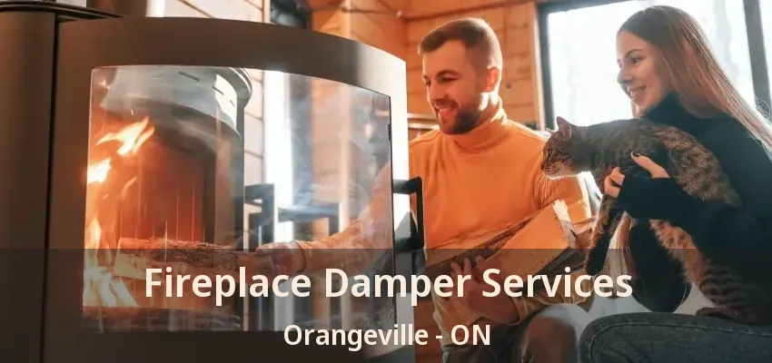 Fireplace Damper Services Orangeville - ON