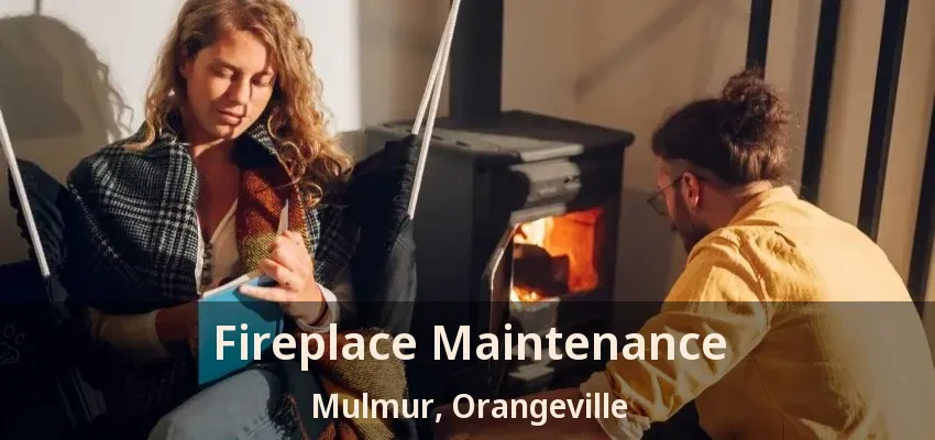 Fireplace Maintenance Mulmur, Orangeville - ON