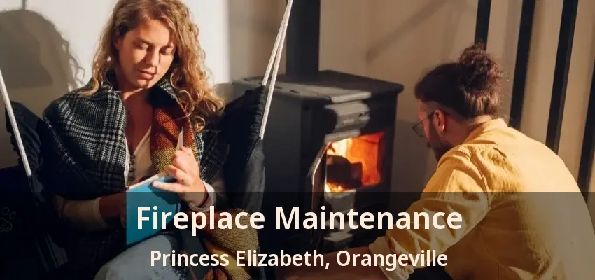 Fireplace Maintenance Princess Elizabeth, Orangeville - ON