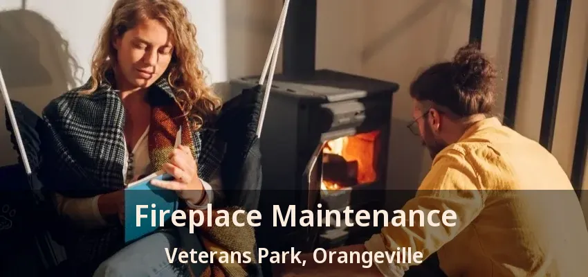 Fireplace Maintenance Veterans Park, Orangeville - ON
