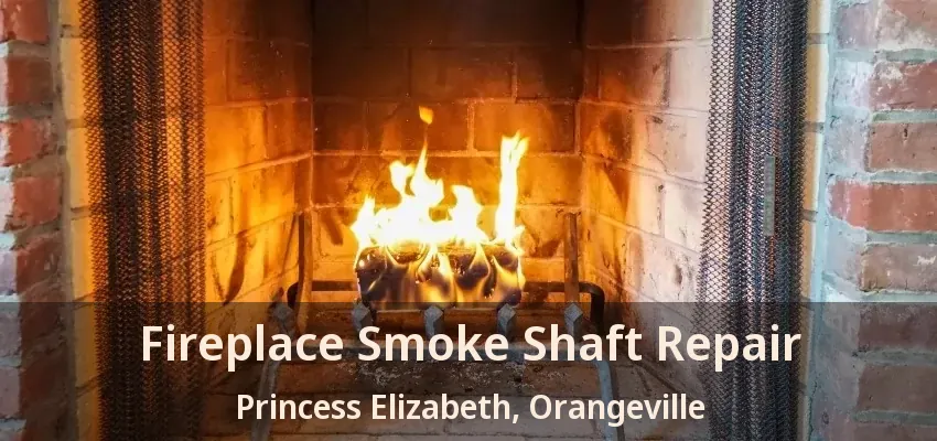Fireplace Smoke Shaft Repair Princess Elizabeth, Orangeville - ON