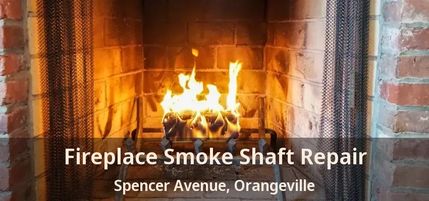 Fireplace Smoke Shaft Repair Spencer Avenue, Orangeville - ON