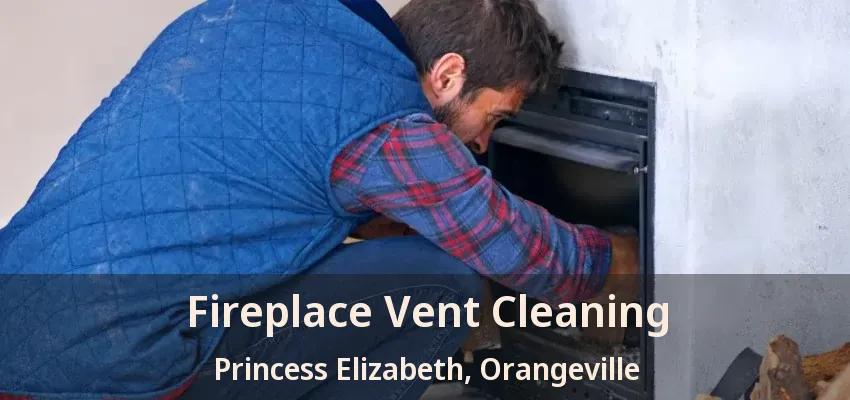 Fireplace Vent Cleaning Princess Elizabeth, Orangeville - ON