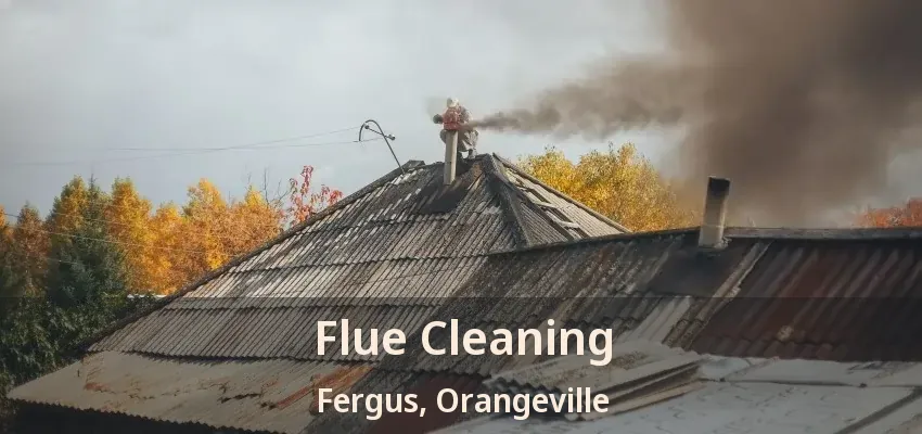 Flue Cleaning Fergus, Orangeville - ON