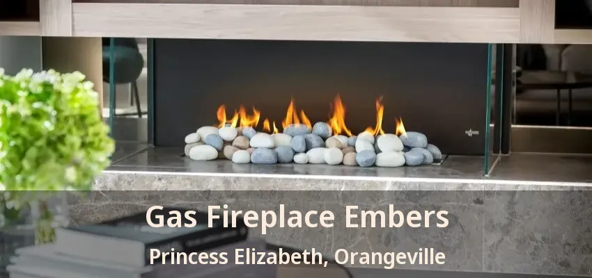 Gas Fireplace Embers Princess Elizabeth, Orangeville - ON