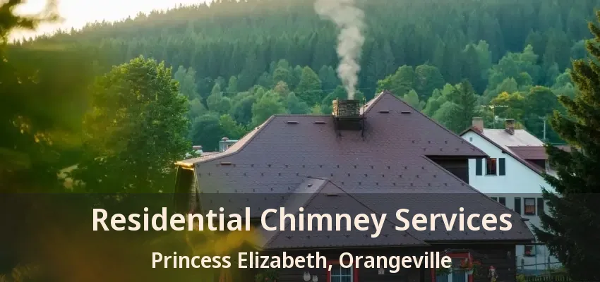 Residential Chimney Services Princess Elizabeth, Orangeville - ON