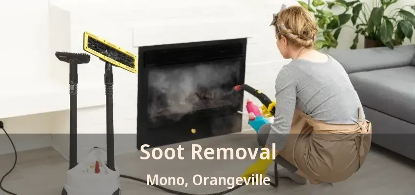 Soot Removal Mono, Orangeville - ON
