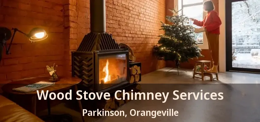 Wood Stove Chimney Services Parkinson, Orangeville - ON