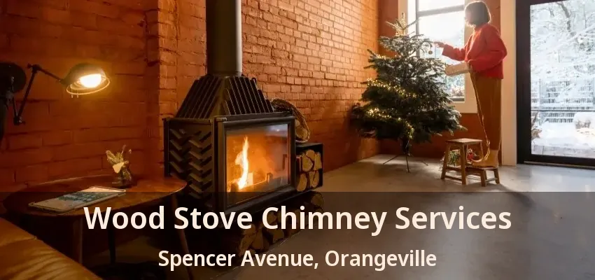 Wood Stove Chimney Services Spencer Avenue, Orangeville - ON