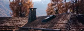 Chimney Animal Removal Montgomery Village, Orangeville